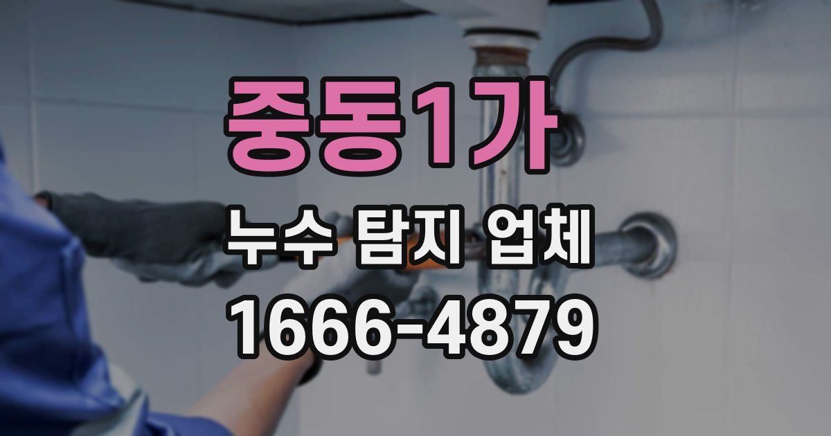 중동1가 누수 탐지 업체