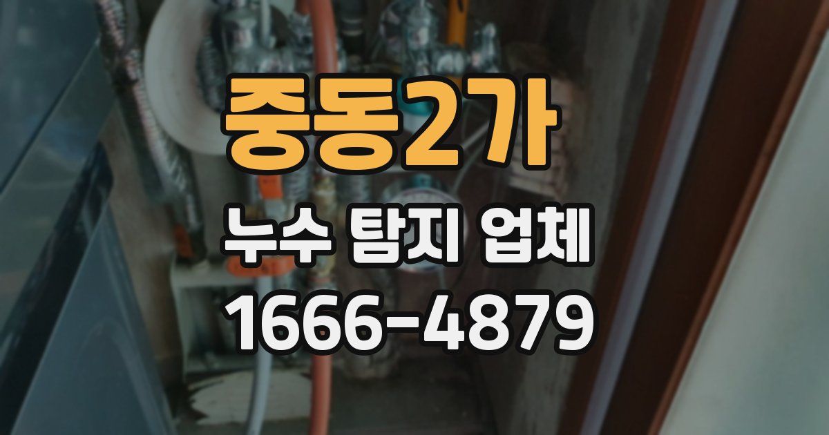 중동2가 누수 탐지 업체