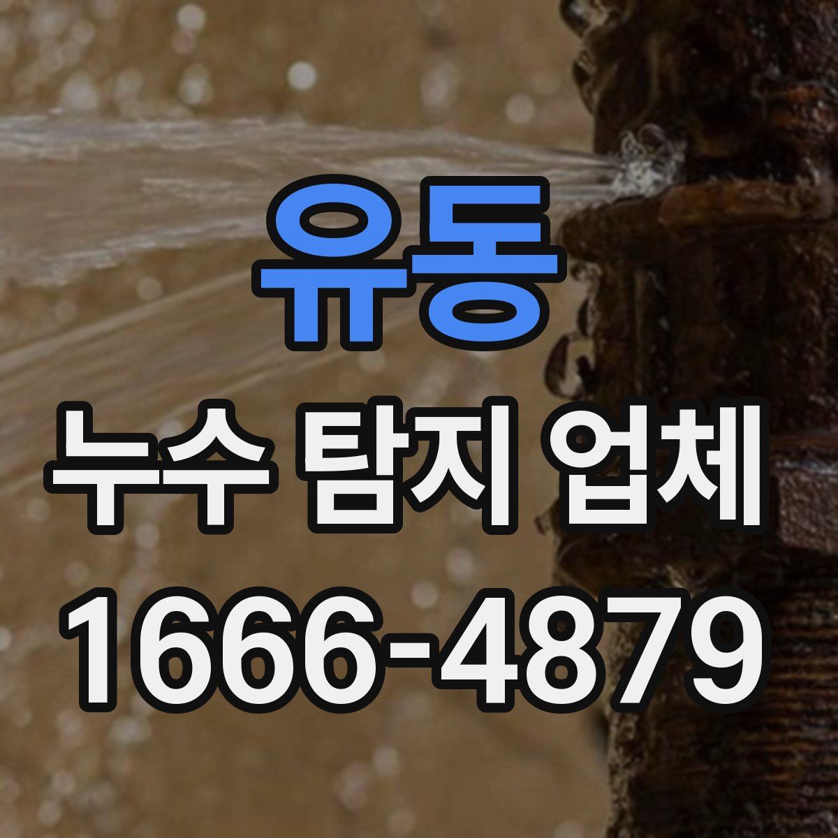 유동 누수 탐지 업체