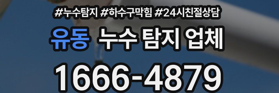 유동 누수 탐지 업체