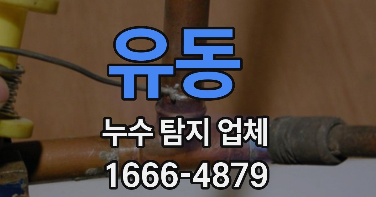 유동 누수 탐지 업체
