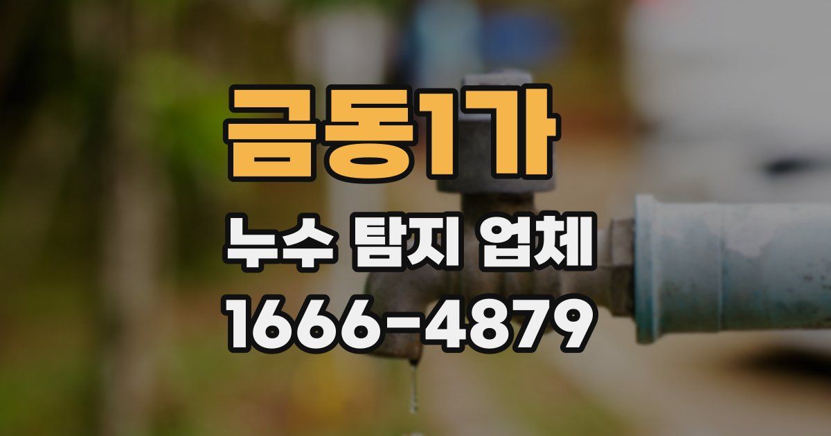 금동1가 누수 탐지 업체