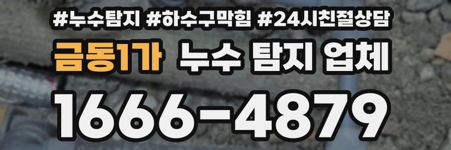 금동1가 누수 탐지 업체