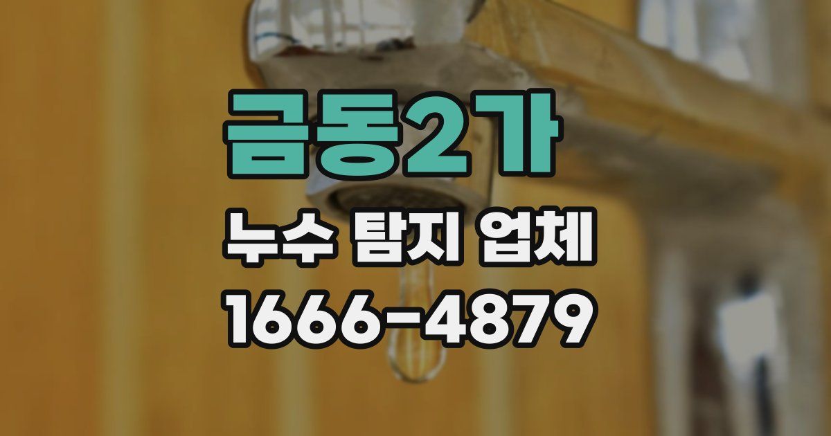 금동2가 누수 탐지 업체
