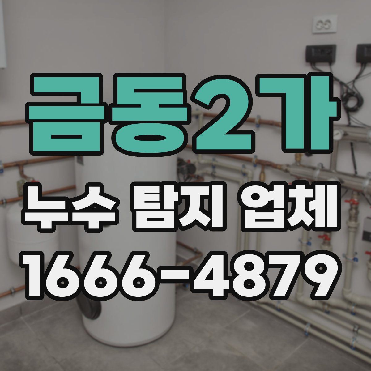 금동2가 누수 탐지 업체