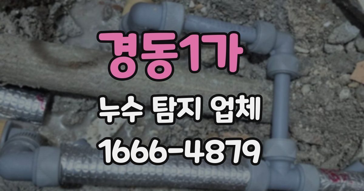 경동1가 누수 탐지 업체