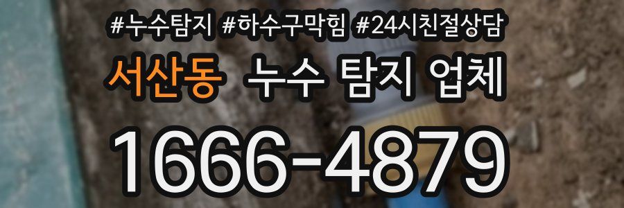 서산동 누수 탐지 업체