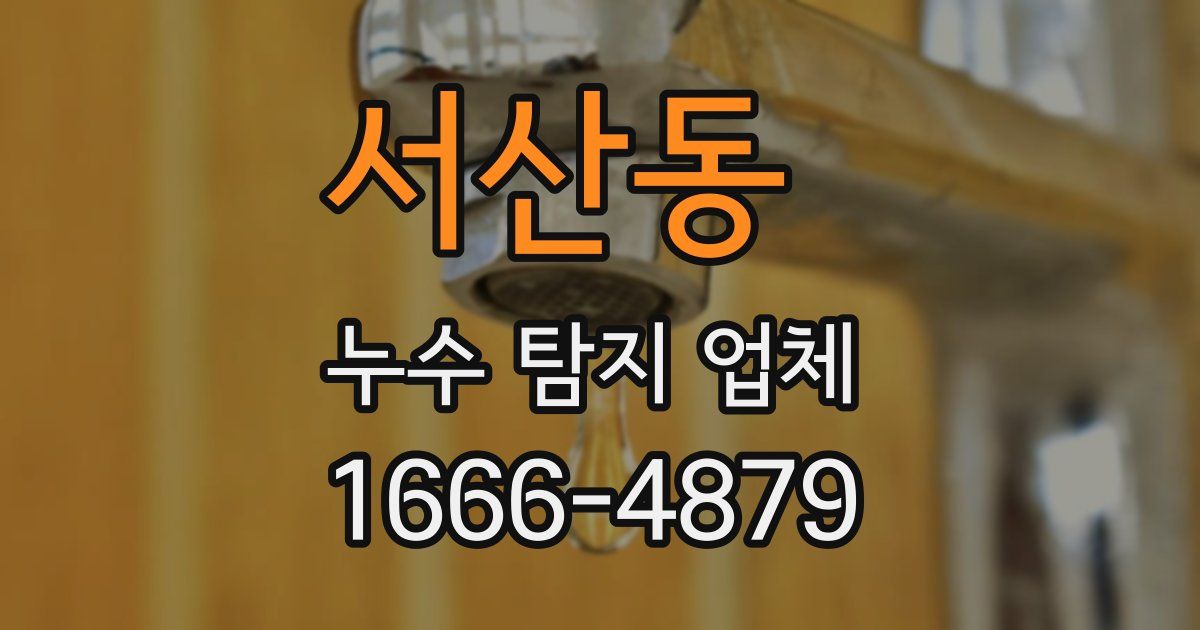 서산동 누수 탐지 업체
