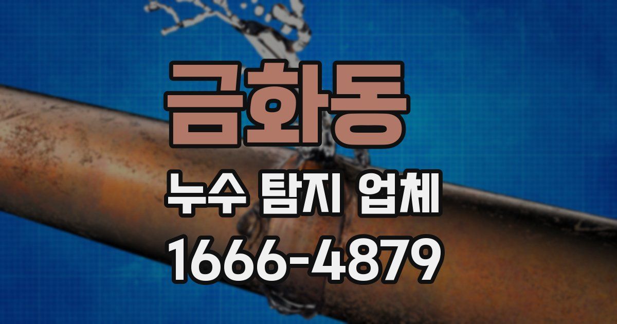 금화동 누수 탐지 업체