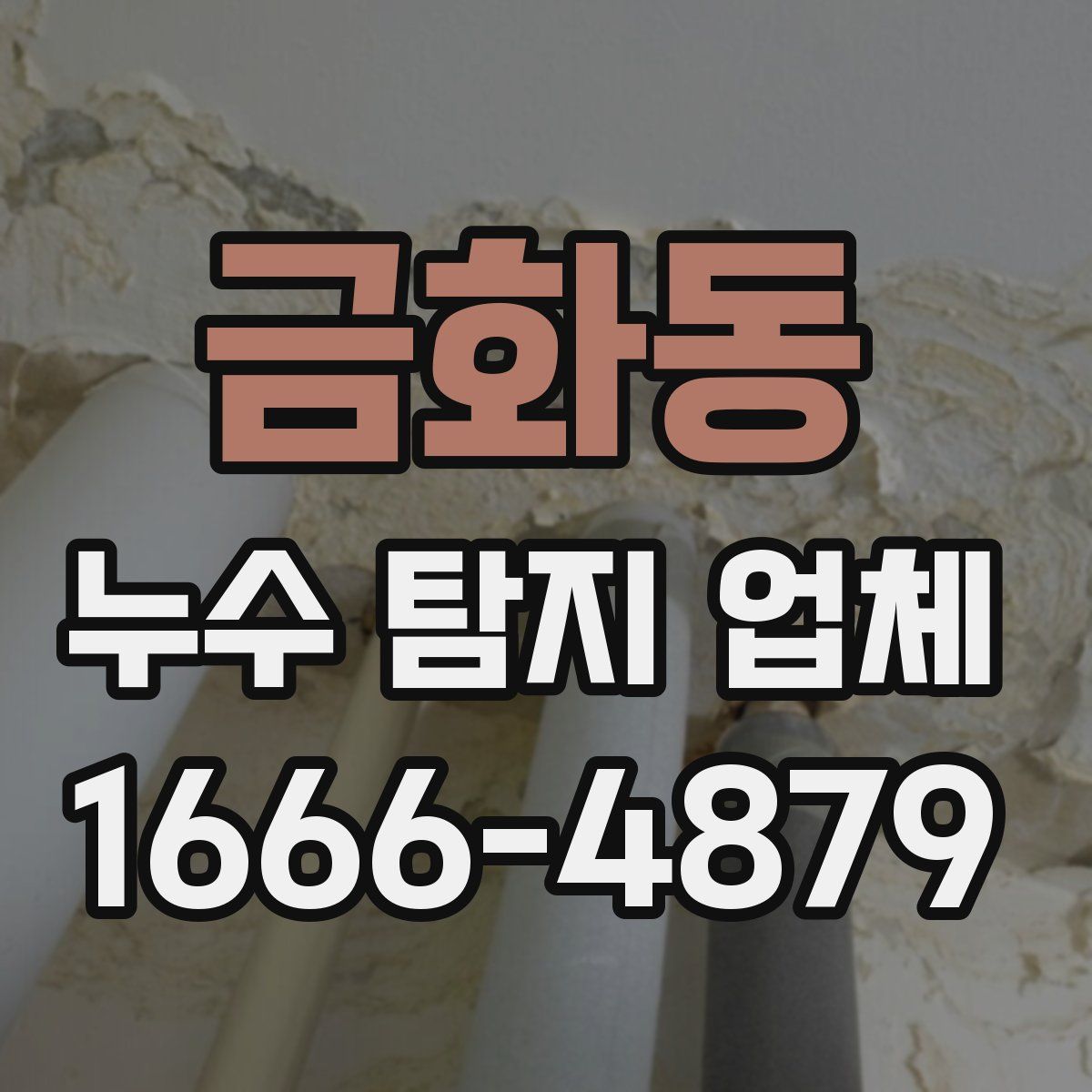 금화동 누수 탐지 업체