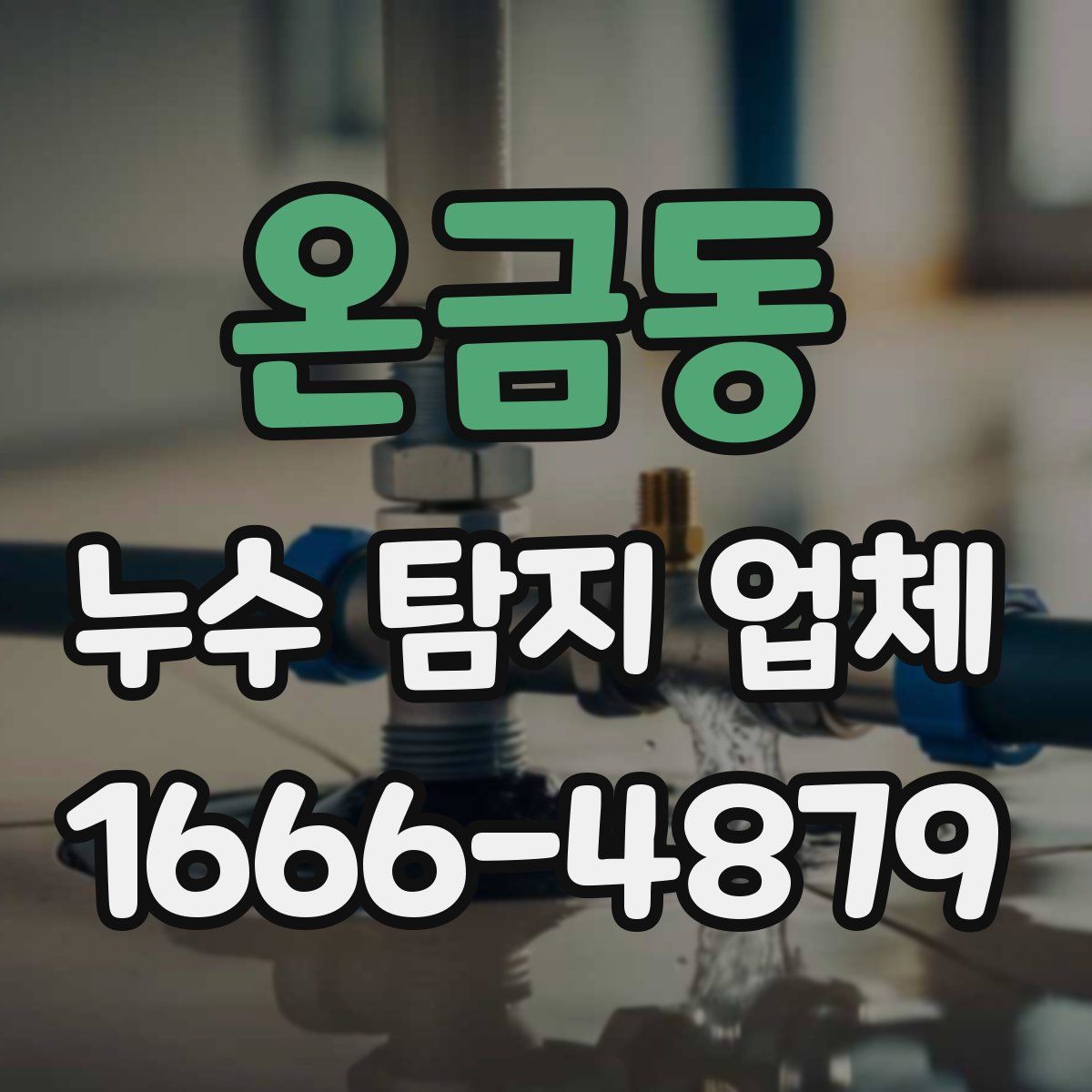 온금동 누수 탐지 업체