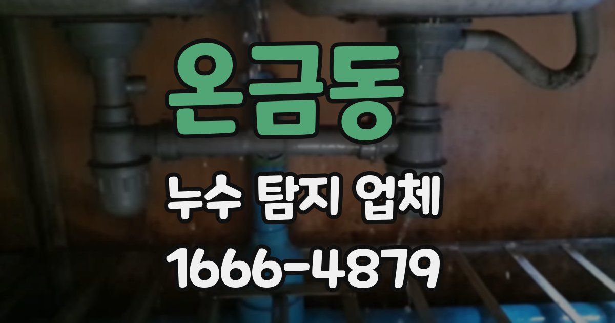 온금동 누수 탐지 업체