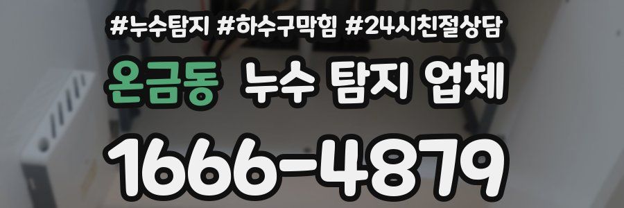 온금동 누수 탐지 업체
