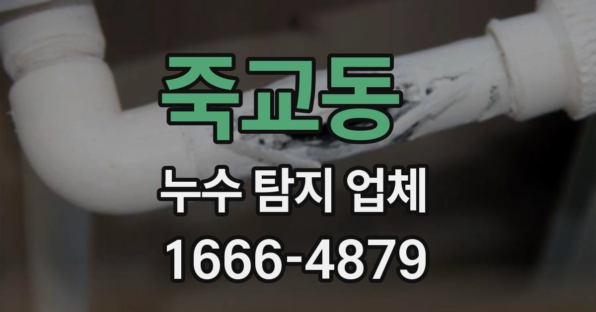 죽교동 누수 탐지 업체