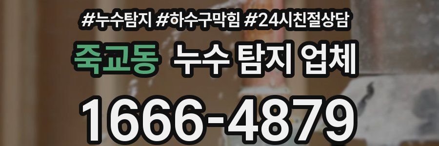 죽교동 누수 탐지 업체
