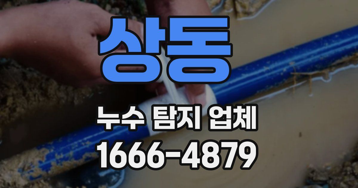 상동 누수 탐지 업체
