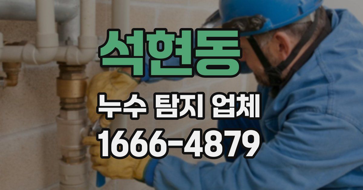 석현동 누수 탐지 업체