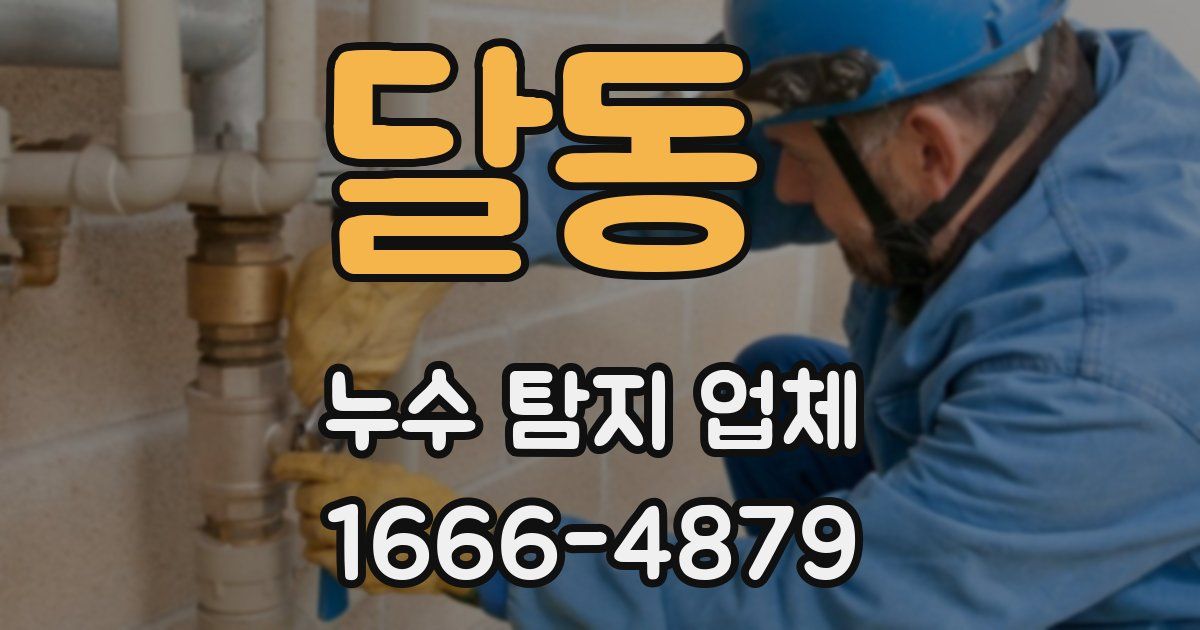 달동 누수 탐지 업체