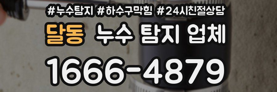 달동 누수 탐지 업체