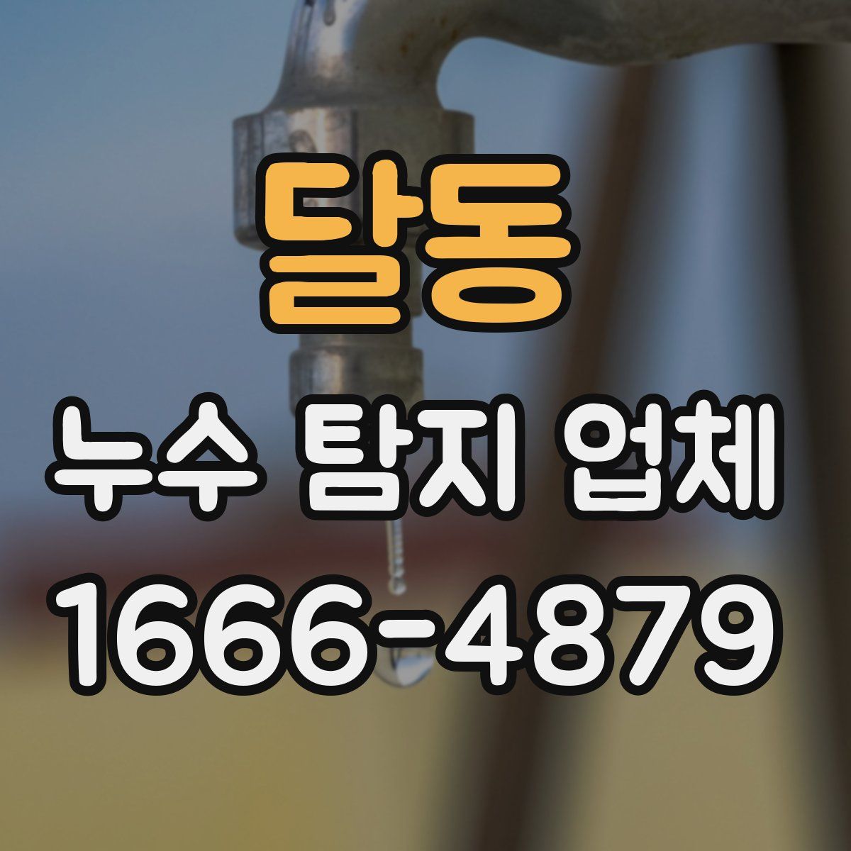 달동 누수 탐지 업체