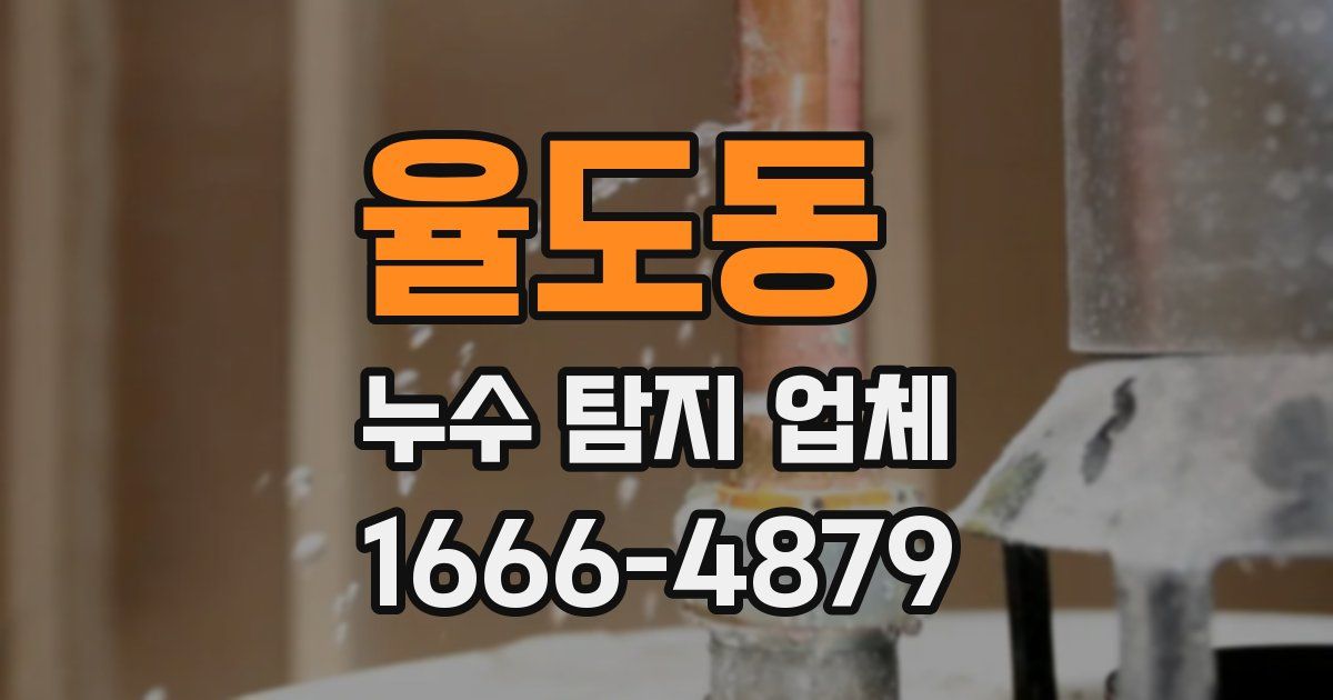 율도동 누수 탐지 업체
