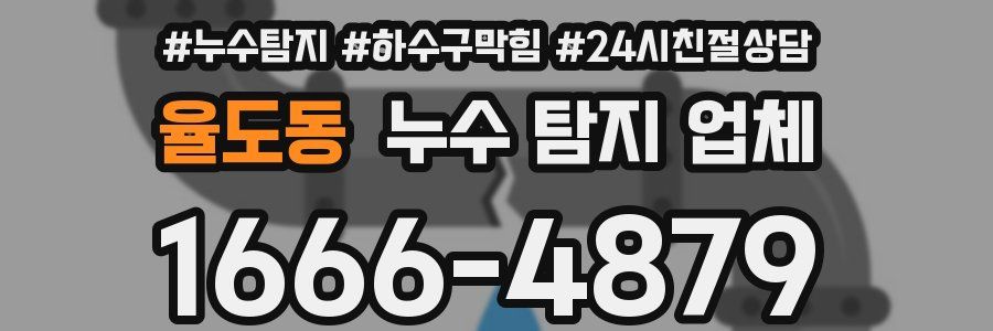 율도동 누수 탐지 업체