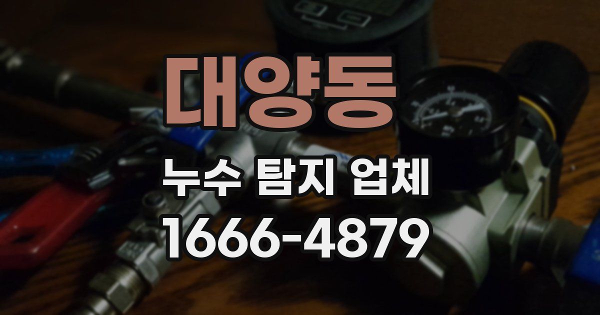 대양동 누수 탐지 업체