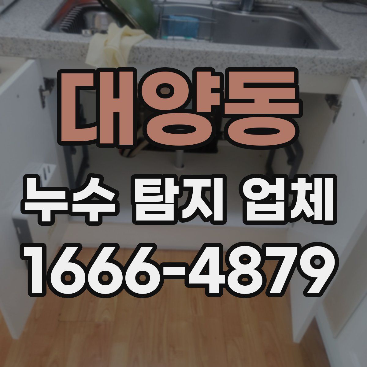 대양동 누수 탐지 업체