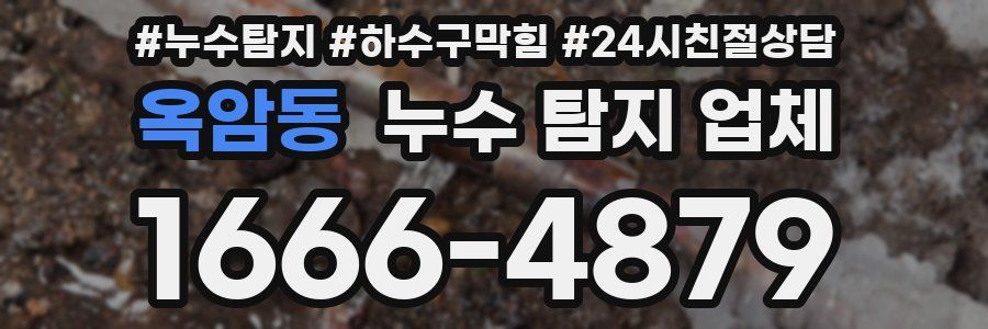 옥암동 누수 탐지 업체