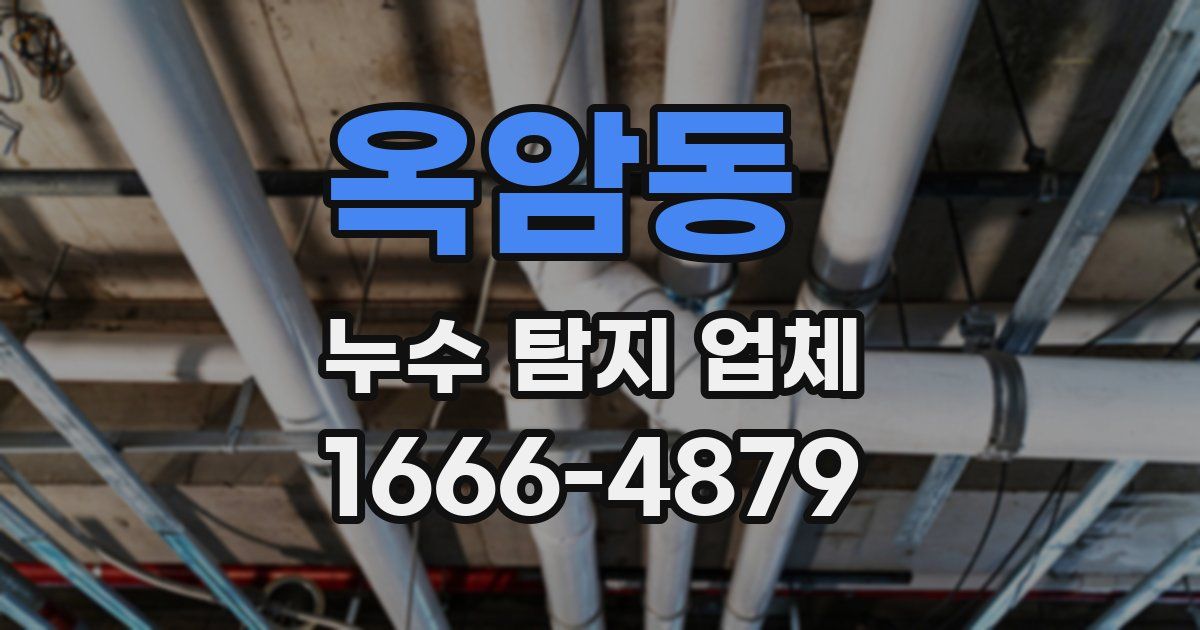 옥암동 누수 탐지 업체
