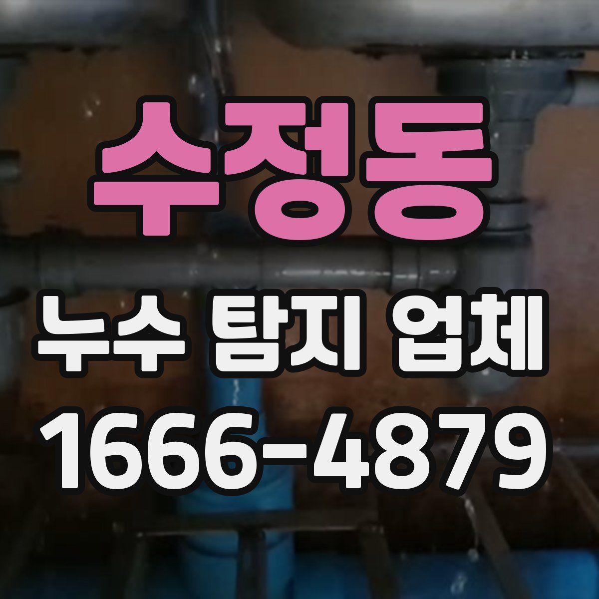 수정동 누수 탐지 업체