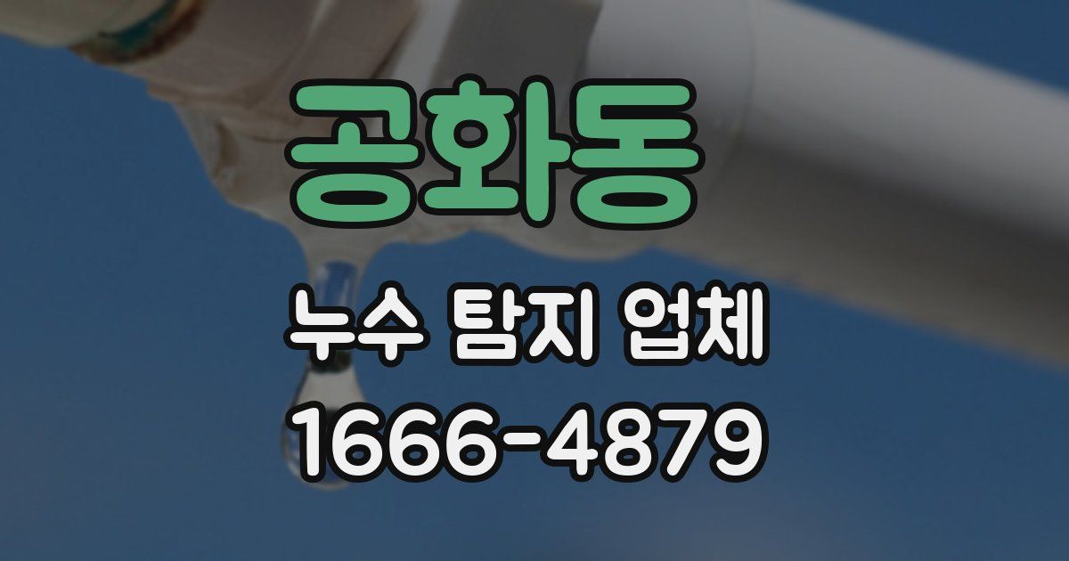 공화동 누수 탐지 업체