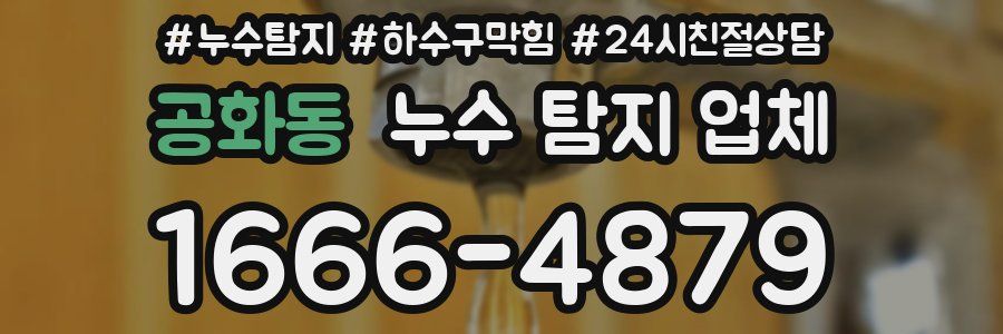 공화동 누수 탐지 업체