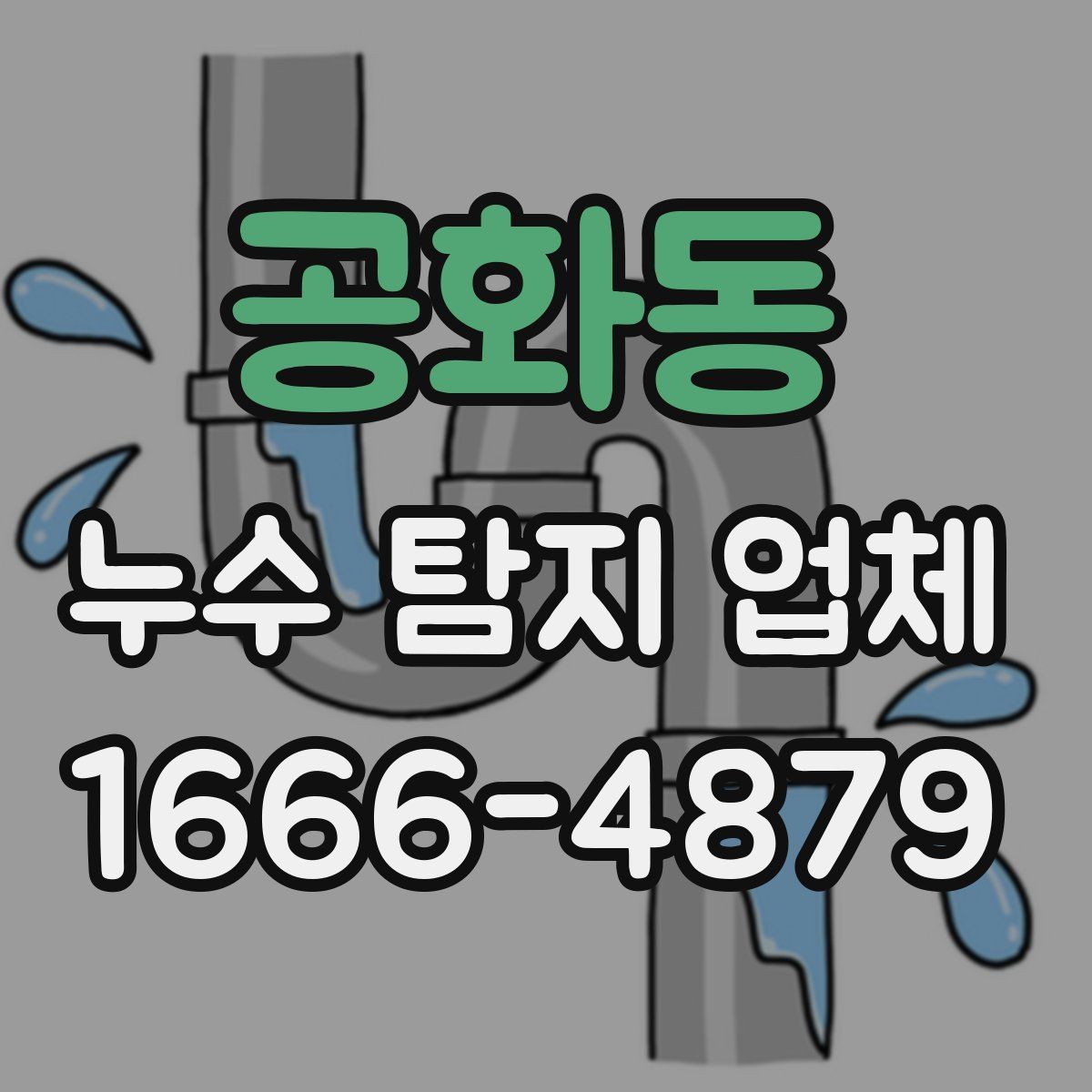 공화동 누수 탐지 업체