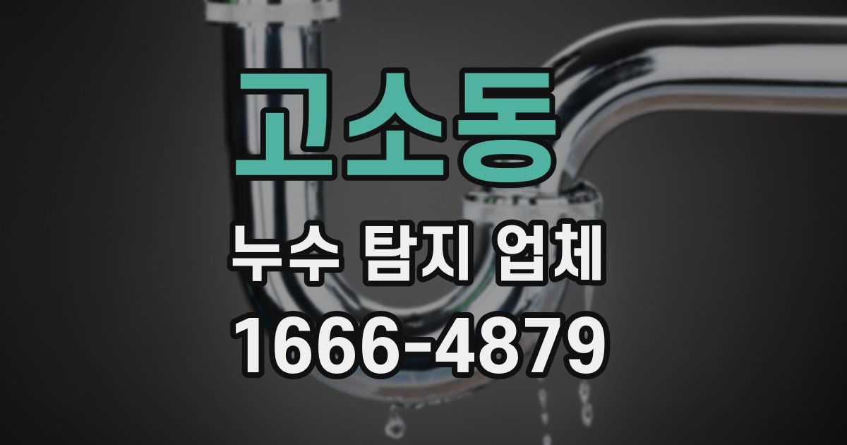 고소동 누수 탐지 업체