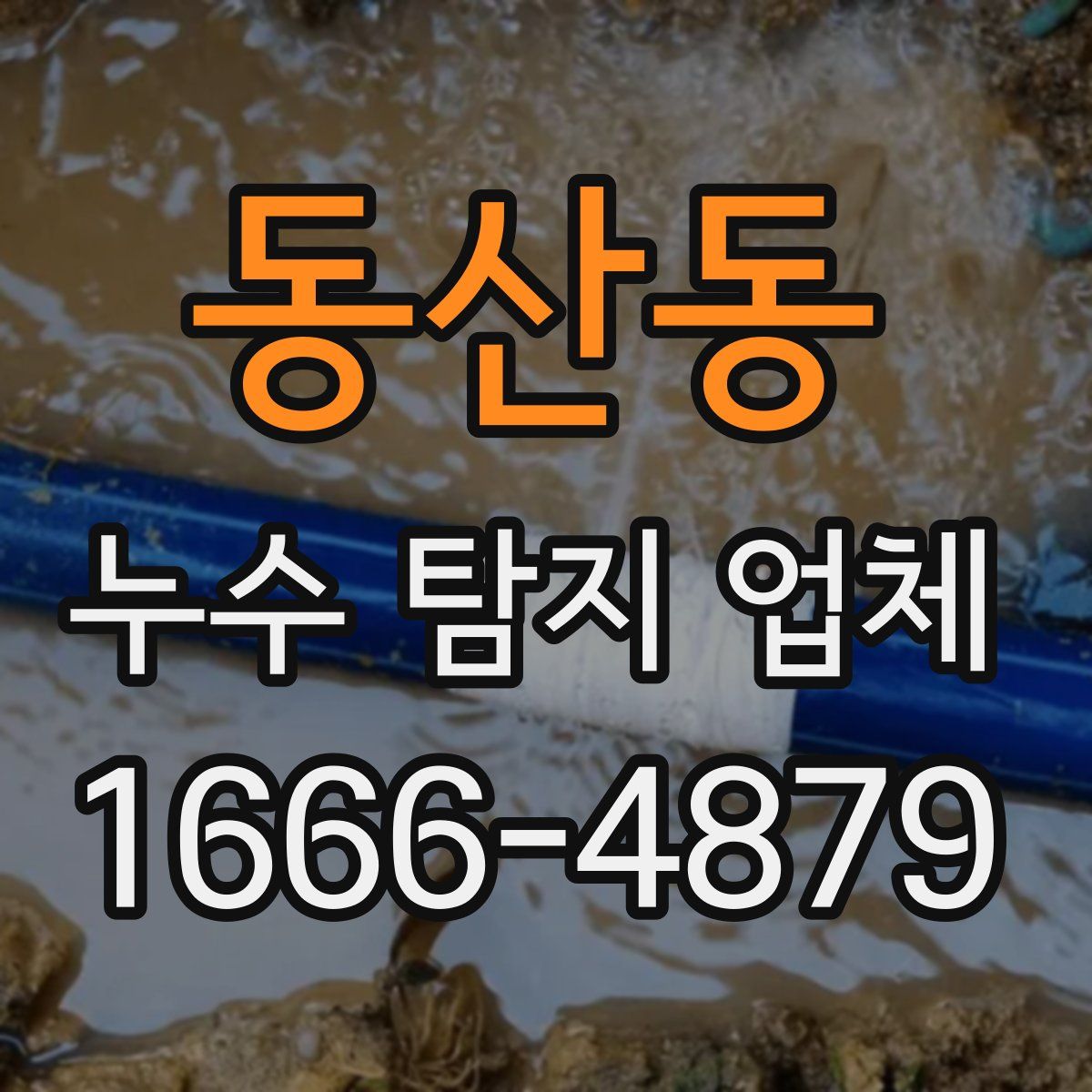 동산동 누수 탐지 업체
