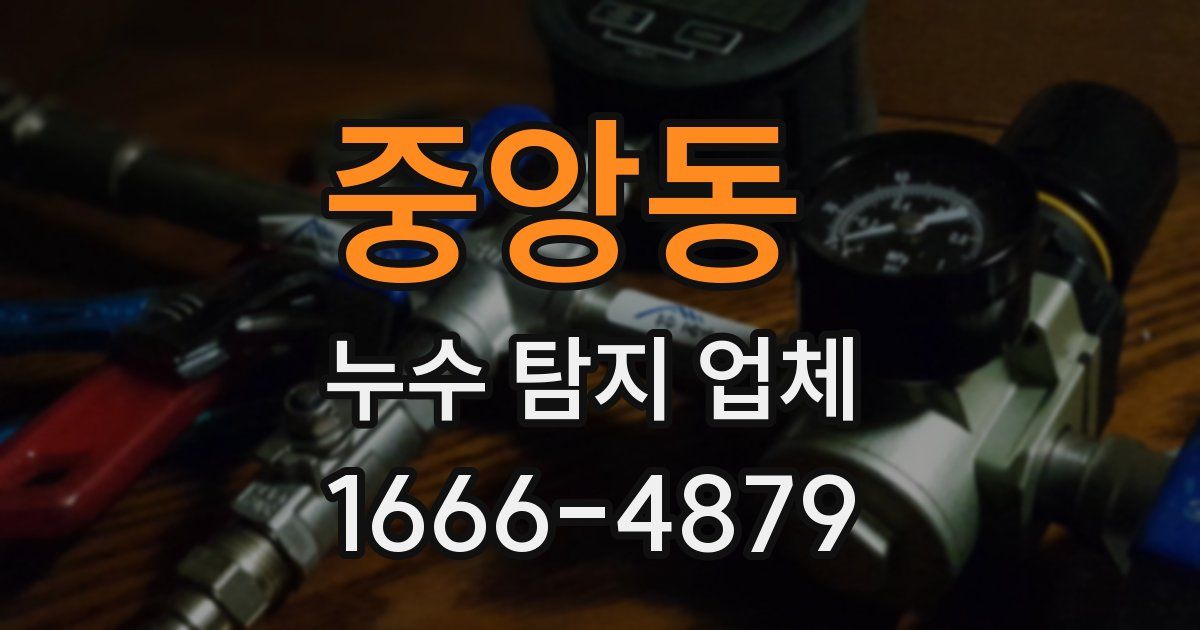 중앙동 누수 탐지 업체
