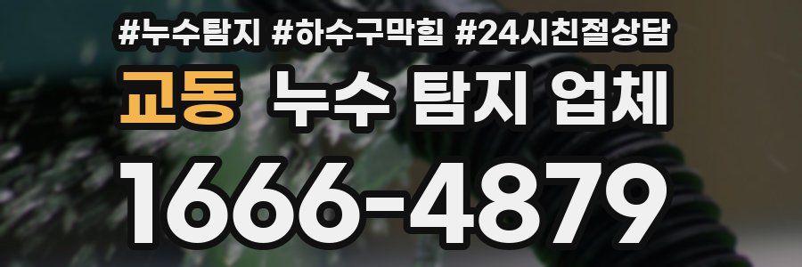 교동 누수 탐지 업체