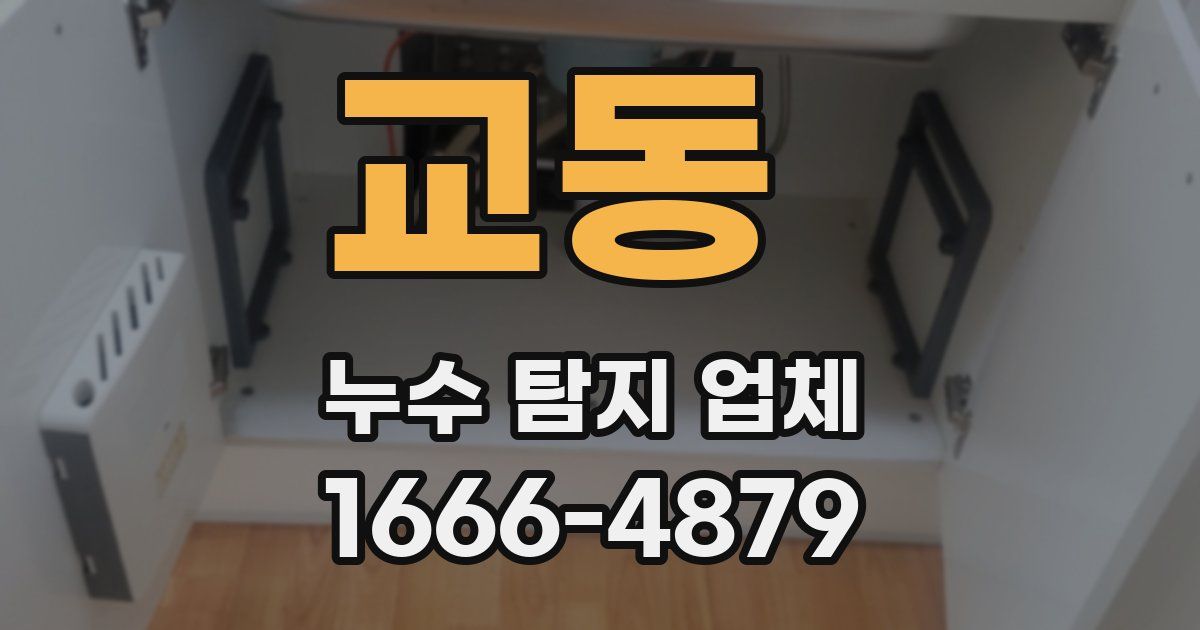 교동 누수 탐지 업체