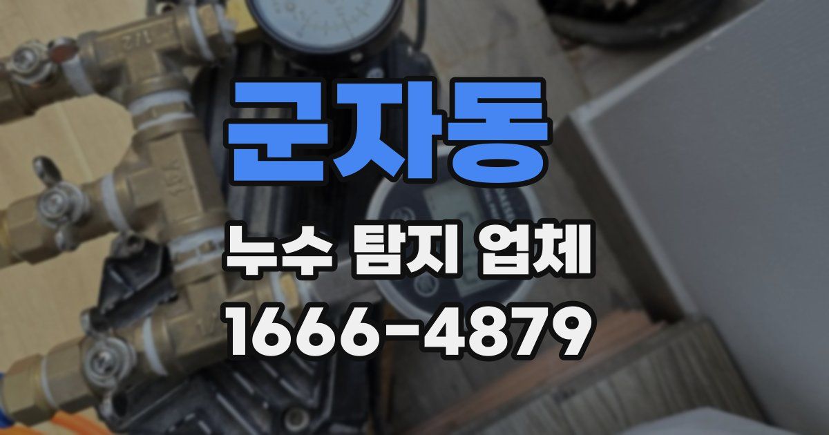 군자동 누수 탐지 업체