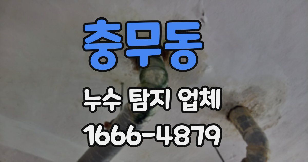 충무동 누수 탐지 업체
