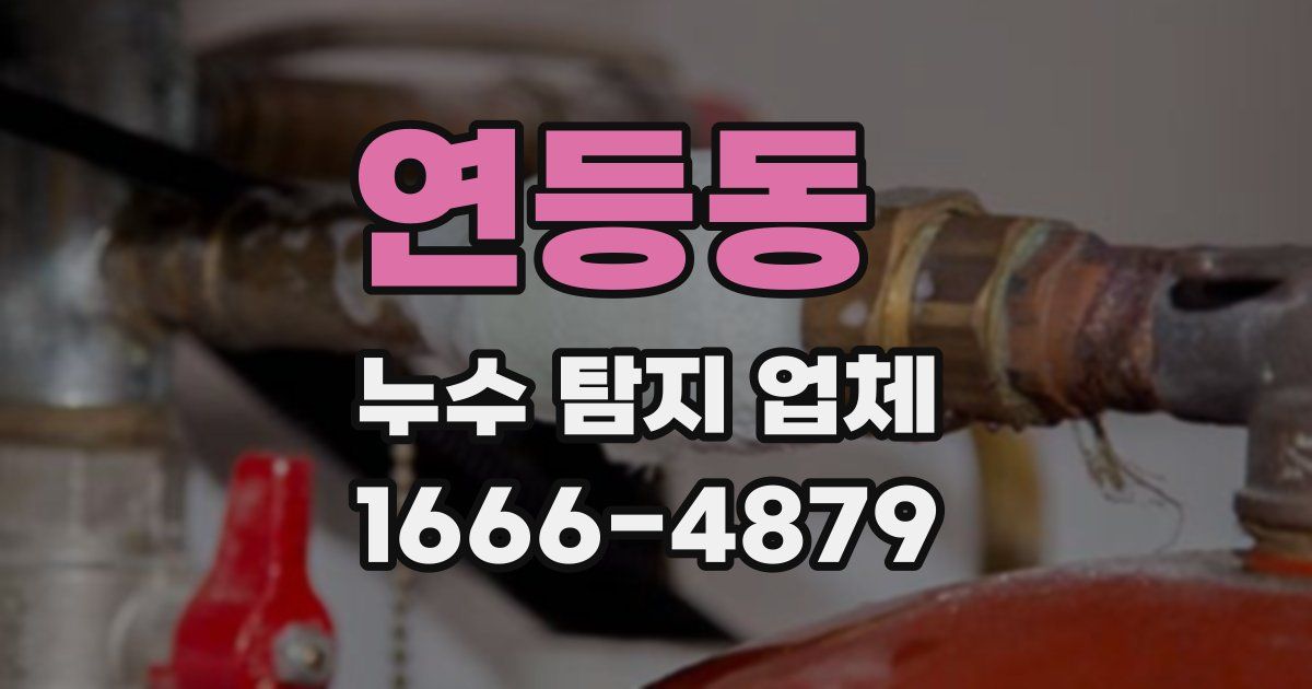 연등동 누수 탐지 업체