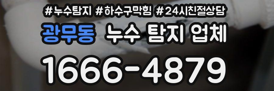 광무동 누수 탐지 업체