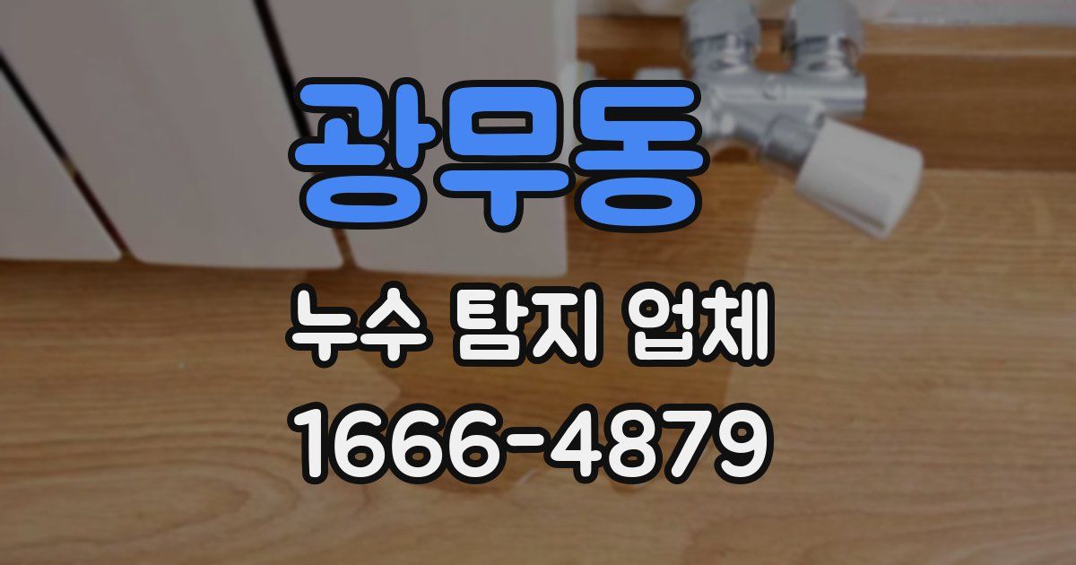 광무동 누수 탐지 업체