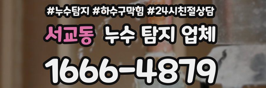 서교동 누수 탐지 업체