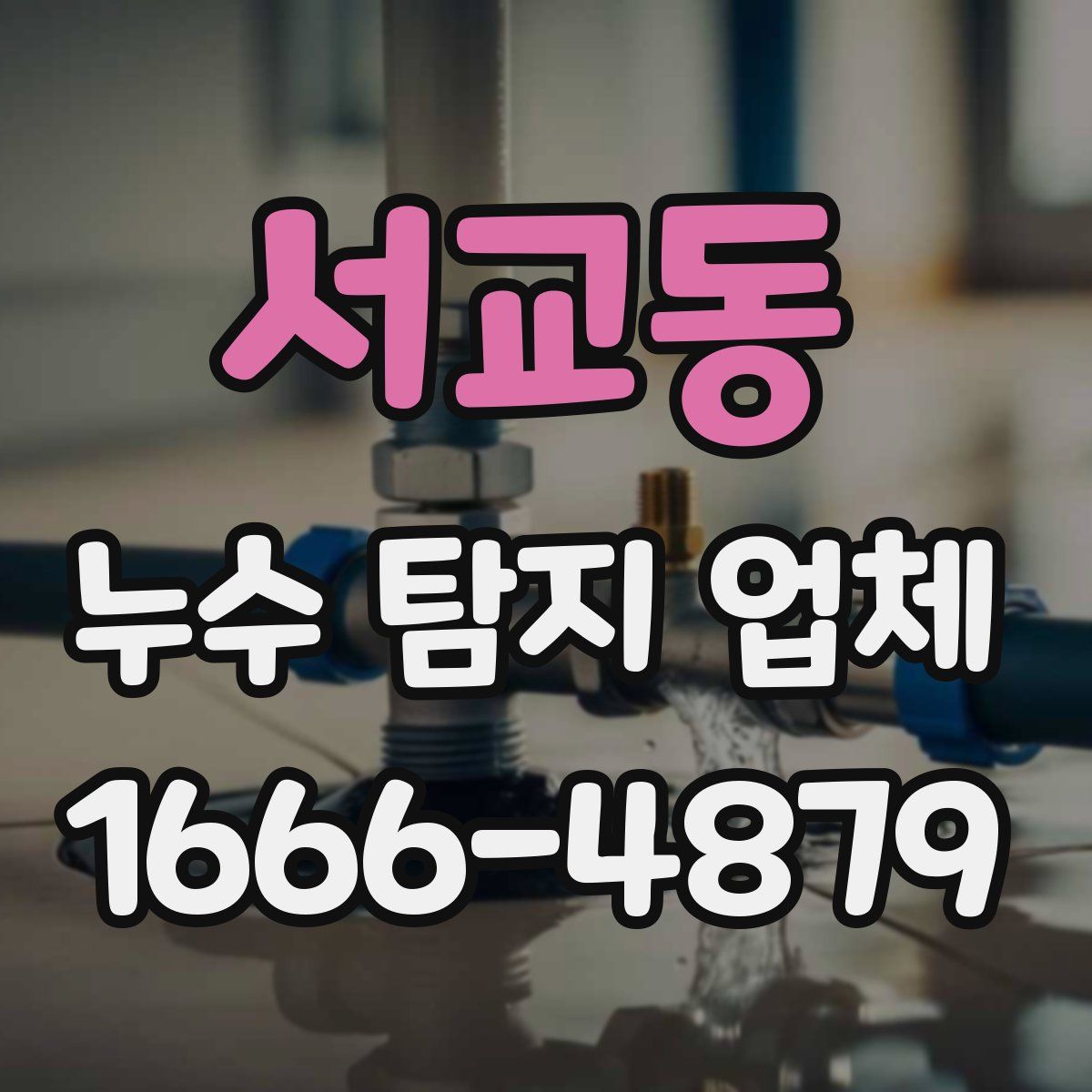 서교동 누수 탐지 업체