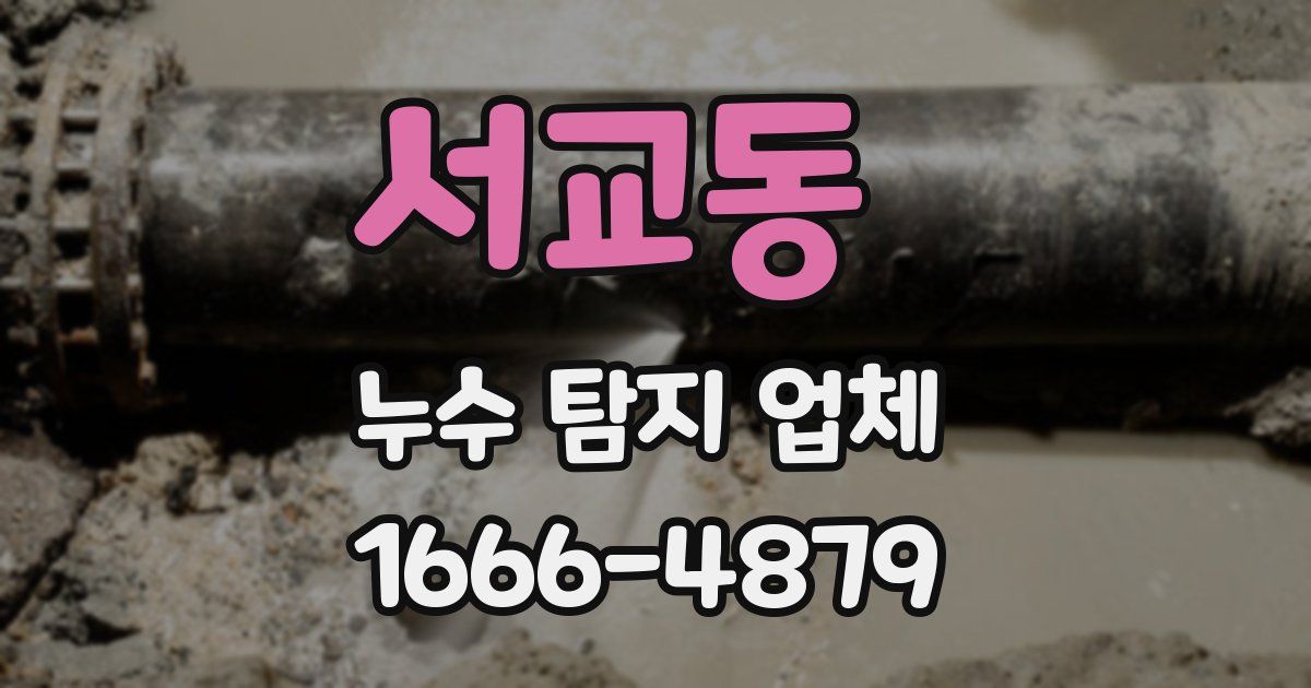 서교동 누수 탐지 업체