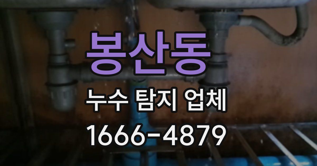 봉산동 누수 탐지 업체