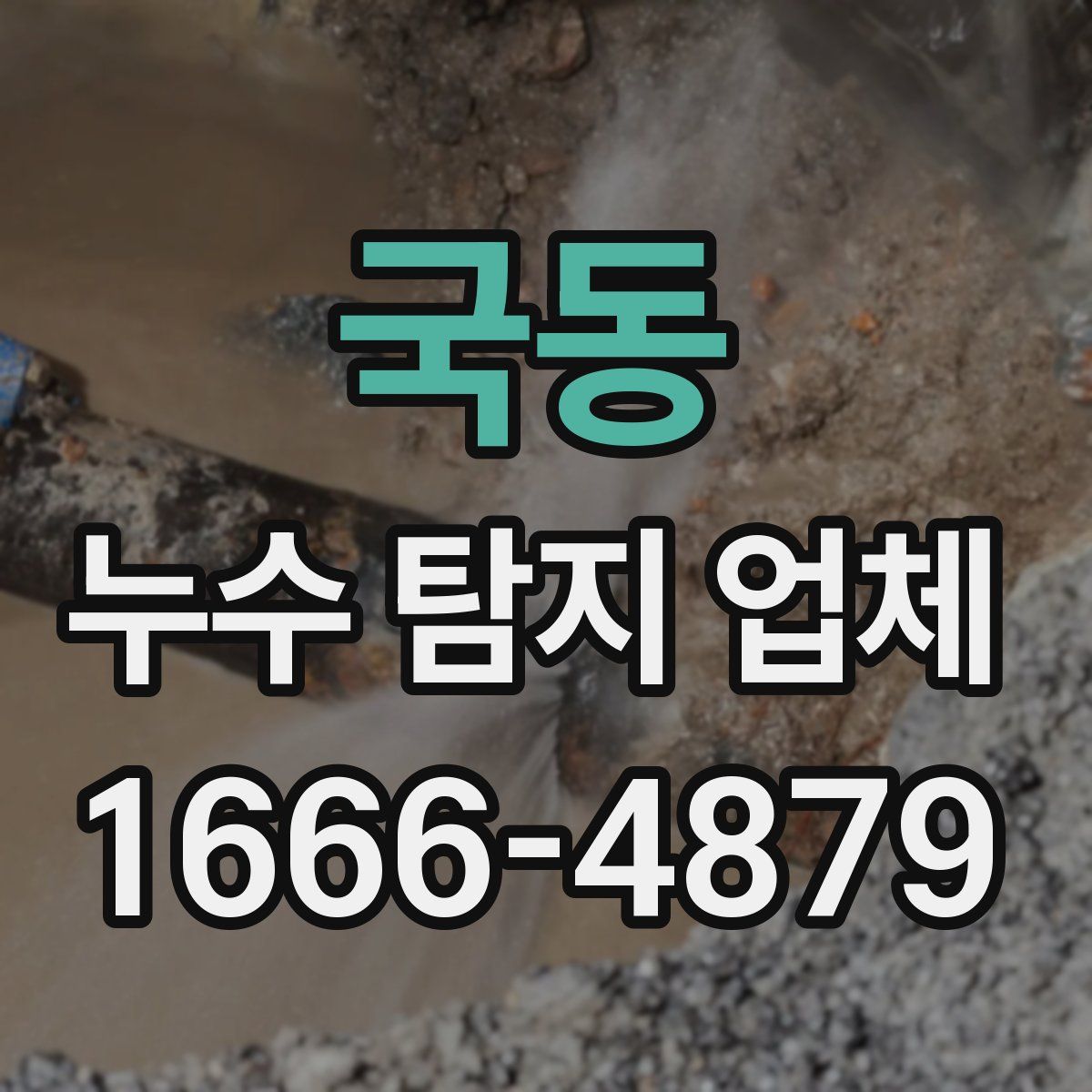 국동 누수 탐지 업체