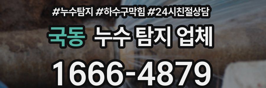 국동 누수 탐지 업체
